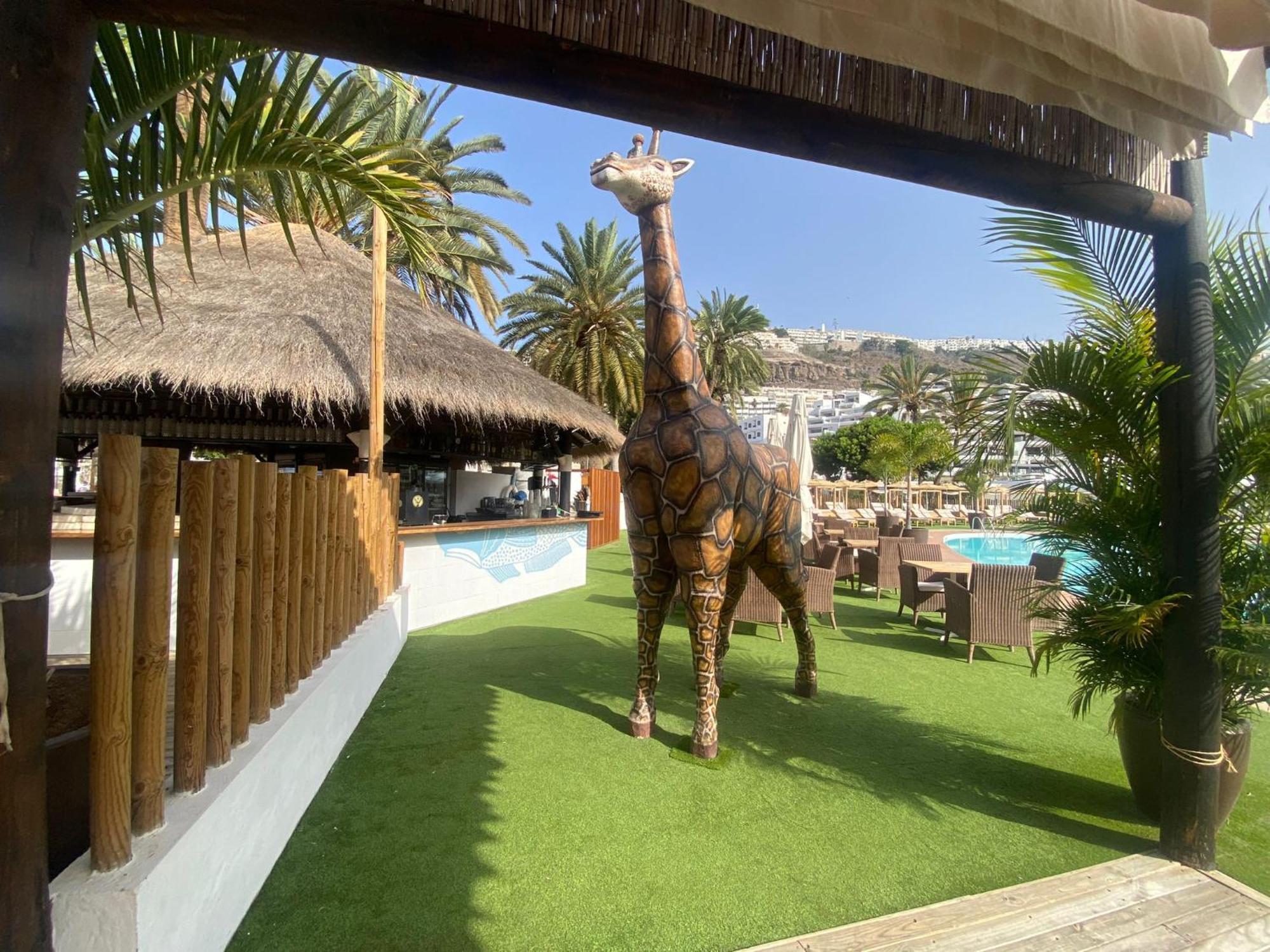 Apartament Cozy Modern House, In A Complex With A Swimming Pool Puerto Rico  Zewnętrze zdjęcie